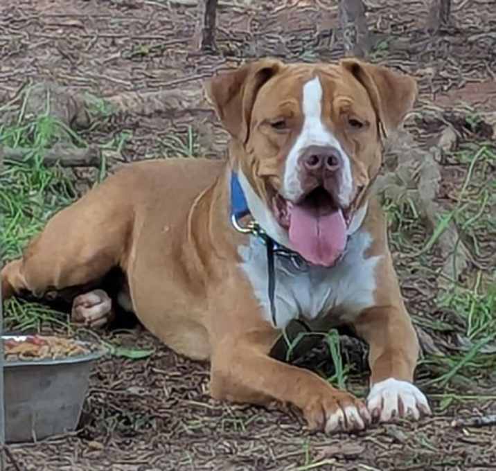 Photo of Zeke