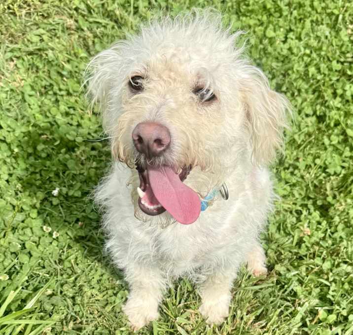 Photo of Darby