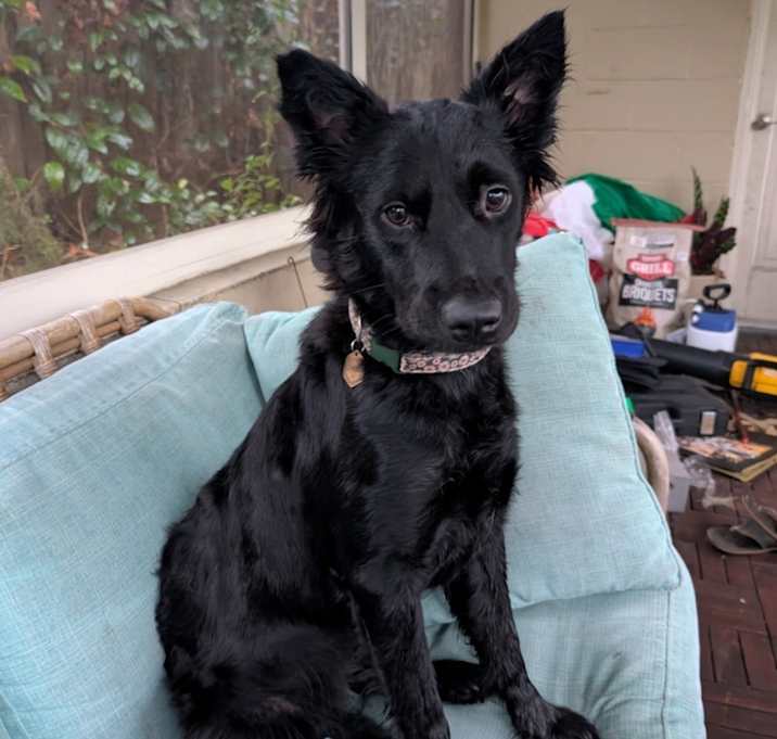 Photo of Charlie