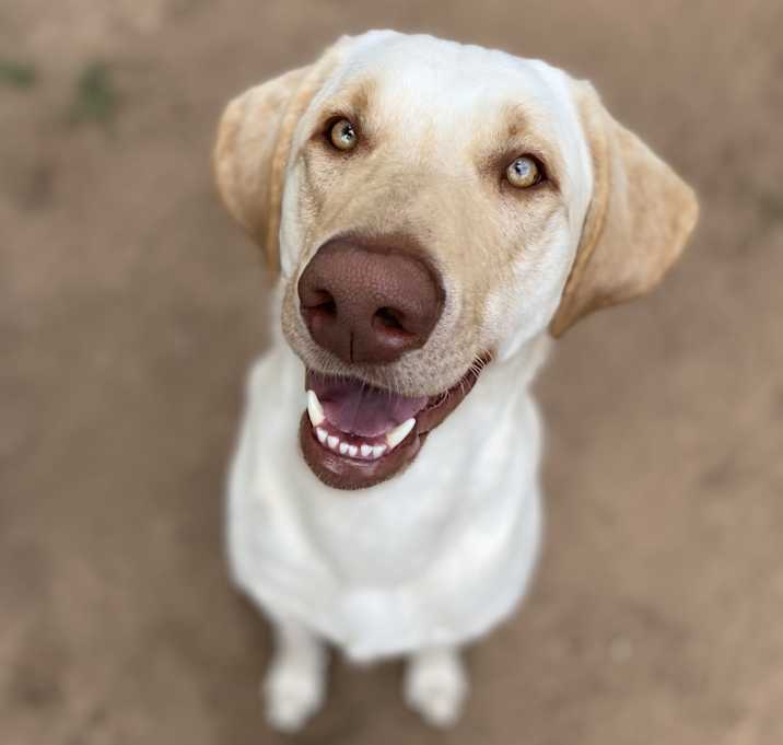 Photo of Jet
