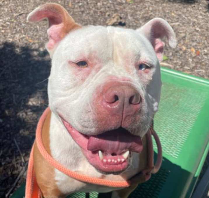Photo of REX