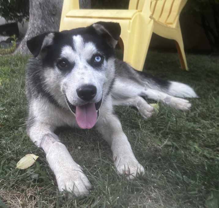 Photo of Kai
