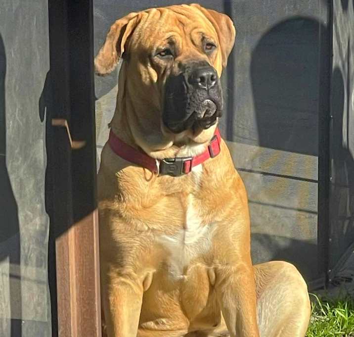 Photo of Athena