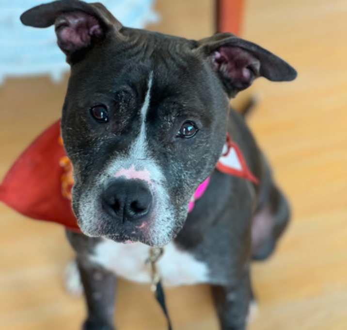 Photo of Mia