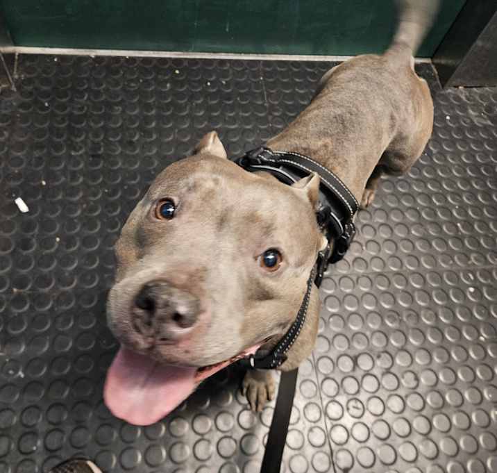 Photo of Fiona