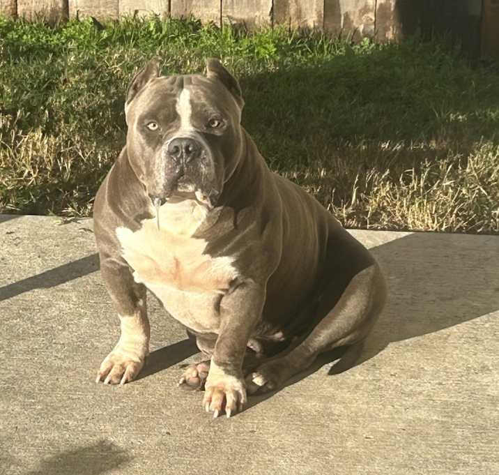 Photo of Uzi