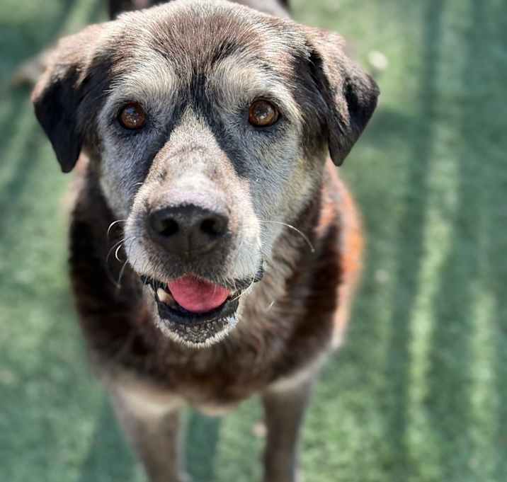 Photo of Old Man