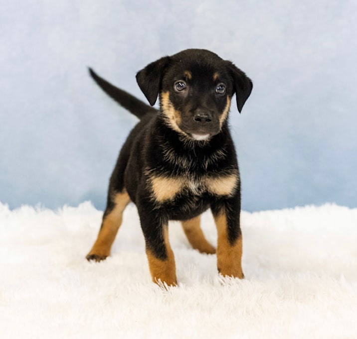 Photo of Dorothy
