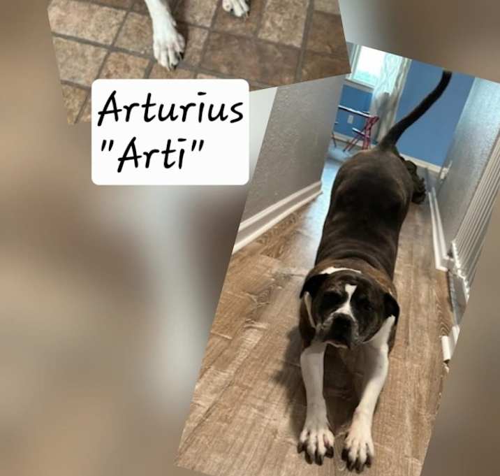 Photo of Artie