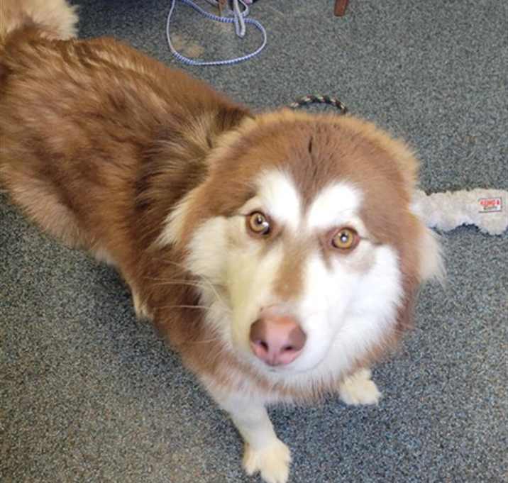 Photo of SAMMY