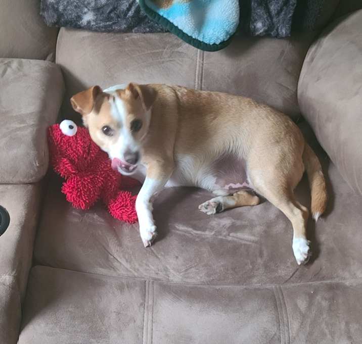 Photo of Zeus