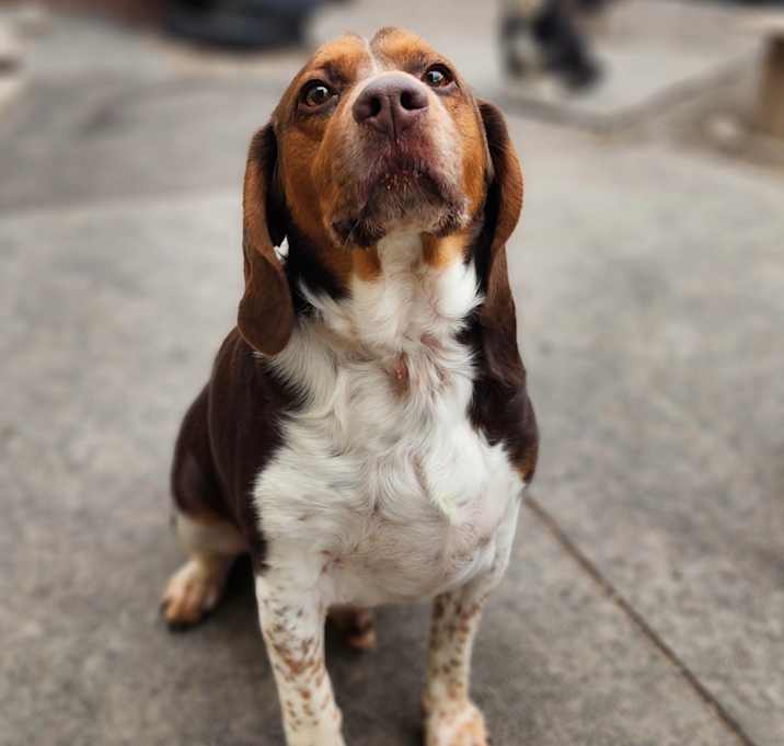 Photo of Clyde