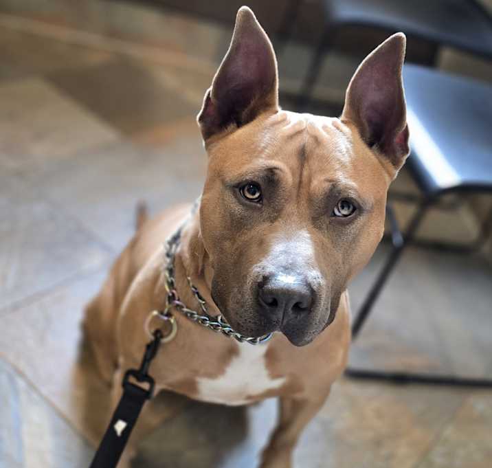 Photo of Fiona