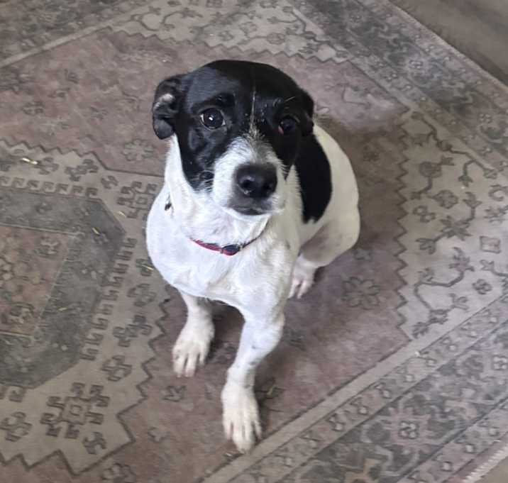Photo of Molly