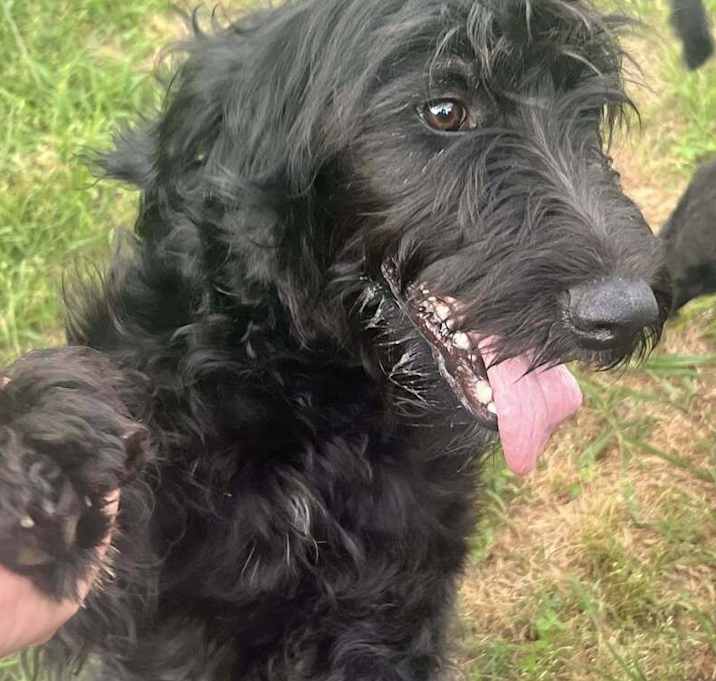 Photo of Mia
