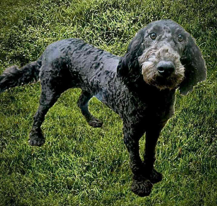 Photo of Emilia