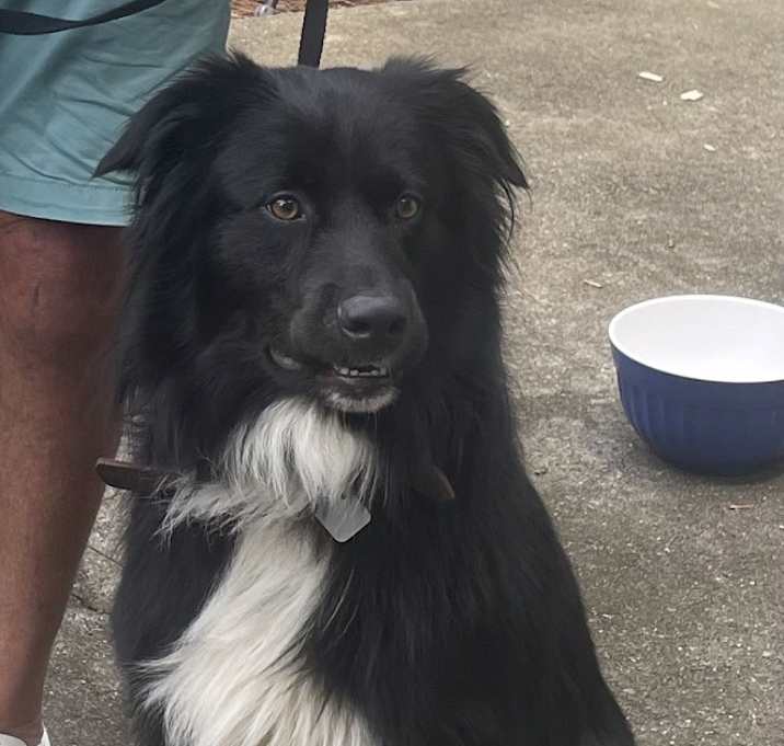 Photo of Max