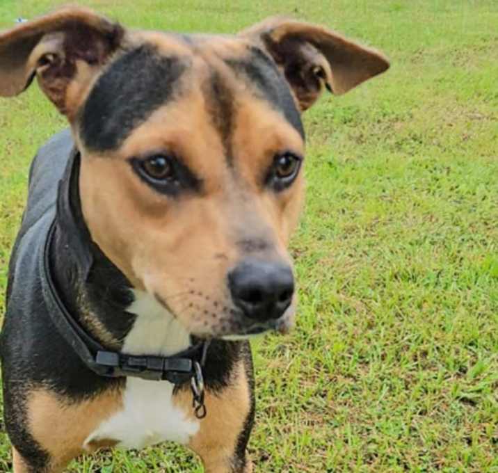 Photo of Tank