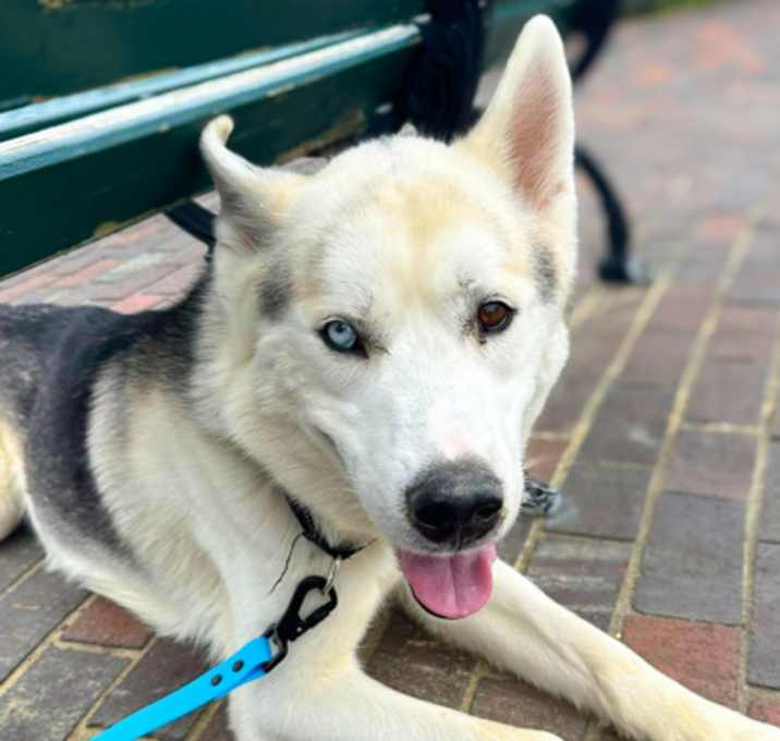 Photo of Jameson