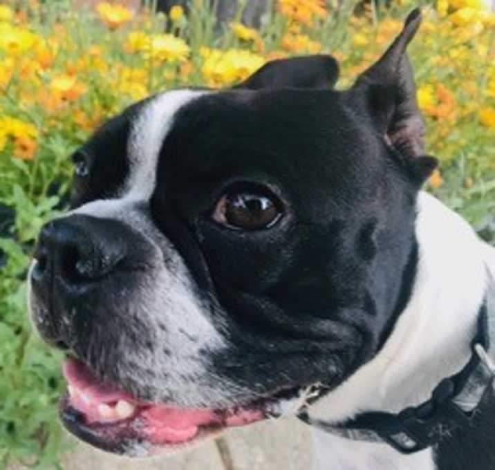 Photo of Blazer