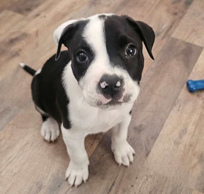 Photo of Xander