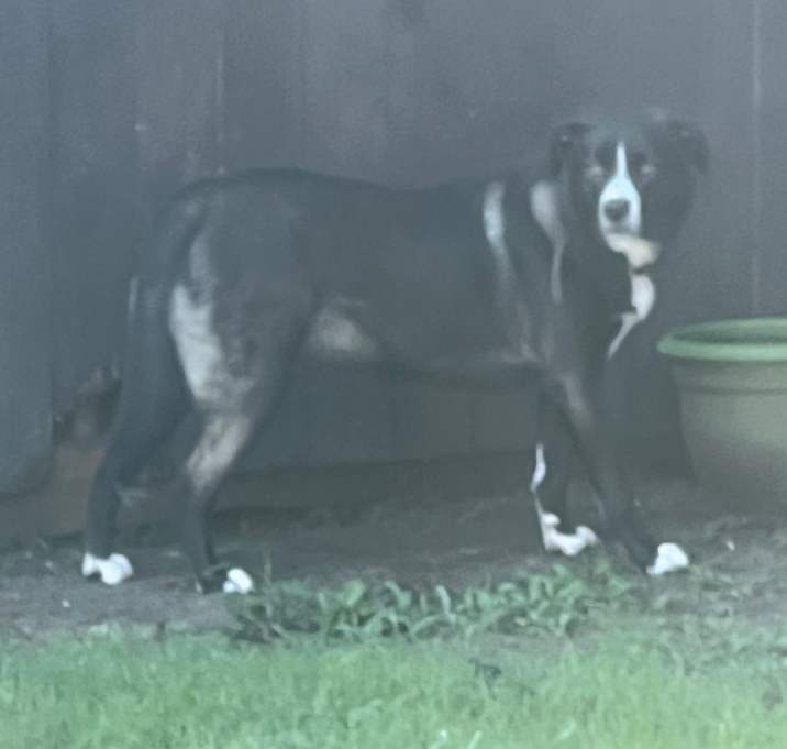 Photo of zoei