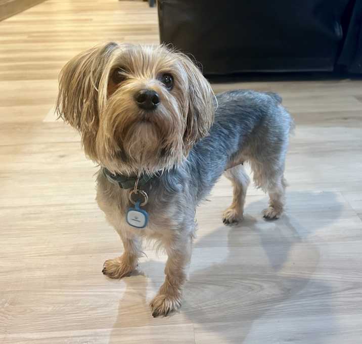 Photo of Pan