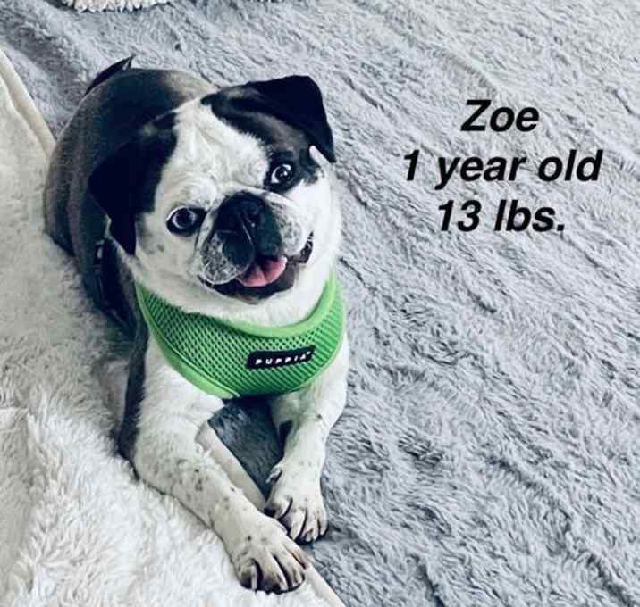 Photo of Zoe