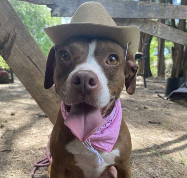 Photo of Roxy