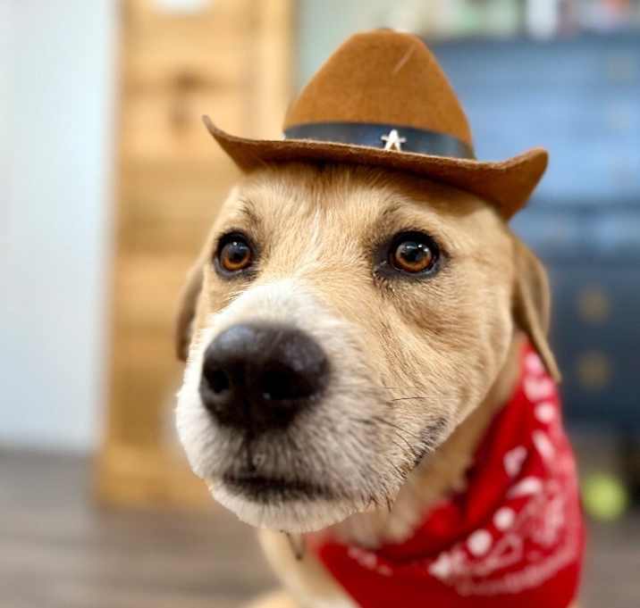 Photo of Cowboy Charlie