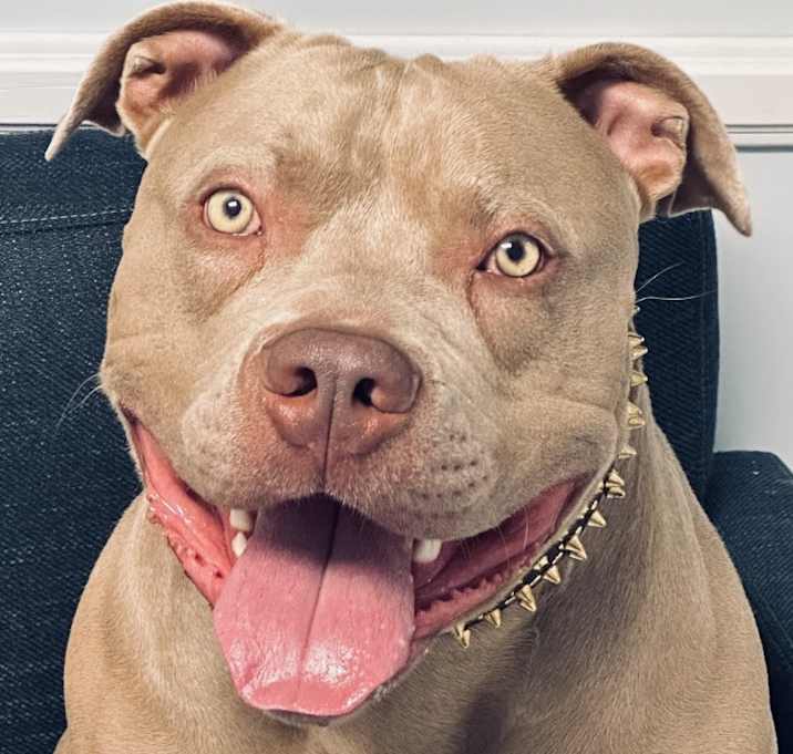 Photo of Smokey
