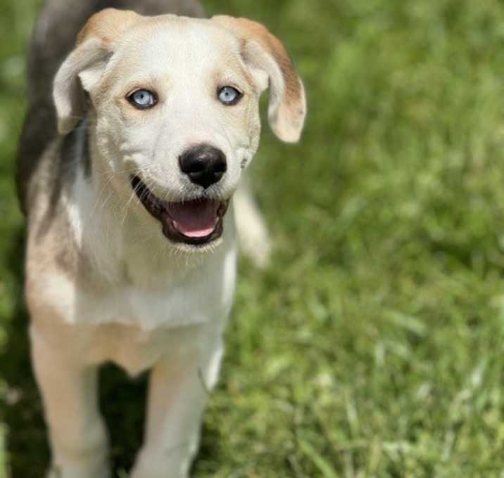 Photo of Misty