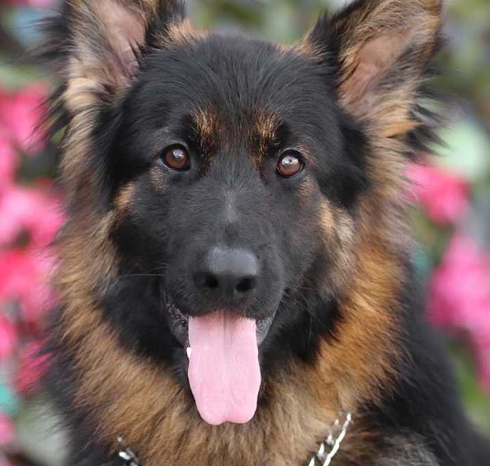 Photo of Geo von Gustow