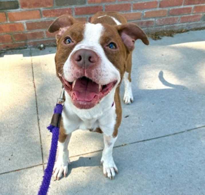 Photo of Skittles