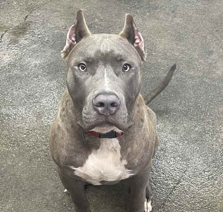 Photo of Zeus