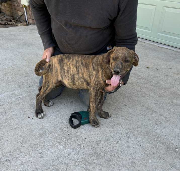 Photo of Delilah