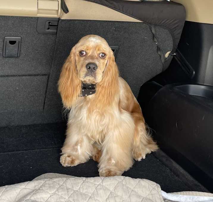 Photo of Tj