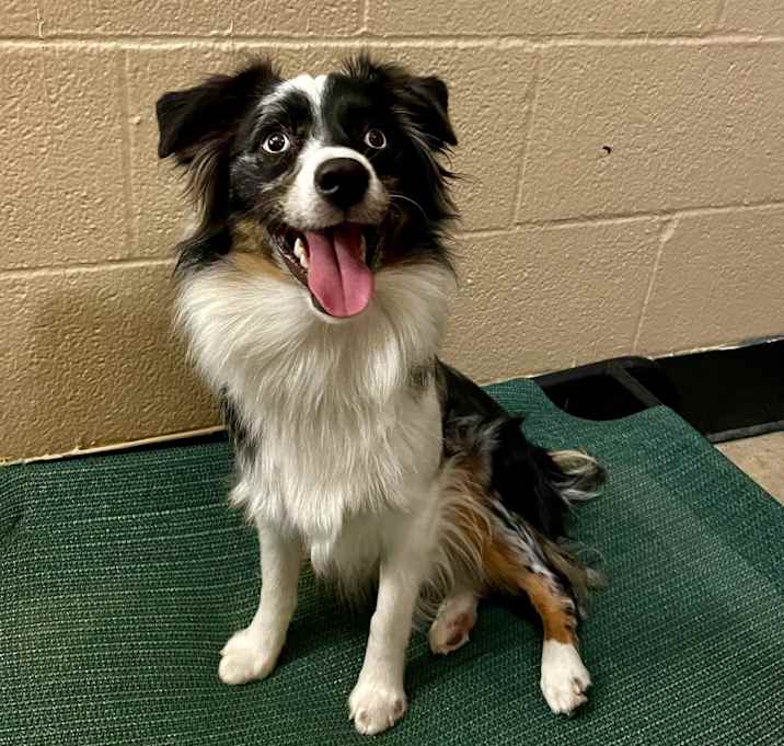 Photo of Gus