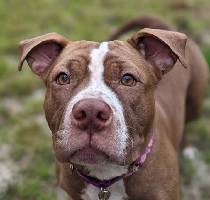 Photo of MANGO