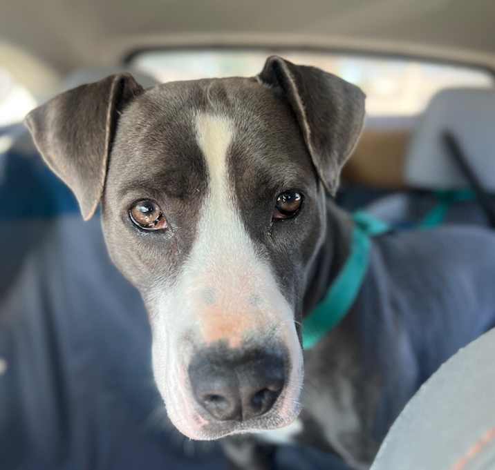 Photo of Dory your fun-size bestie