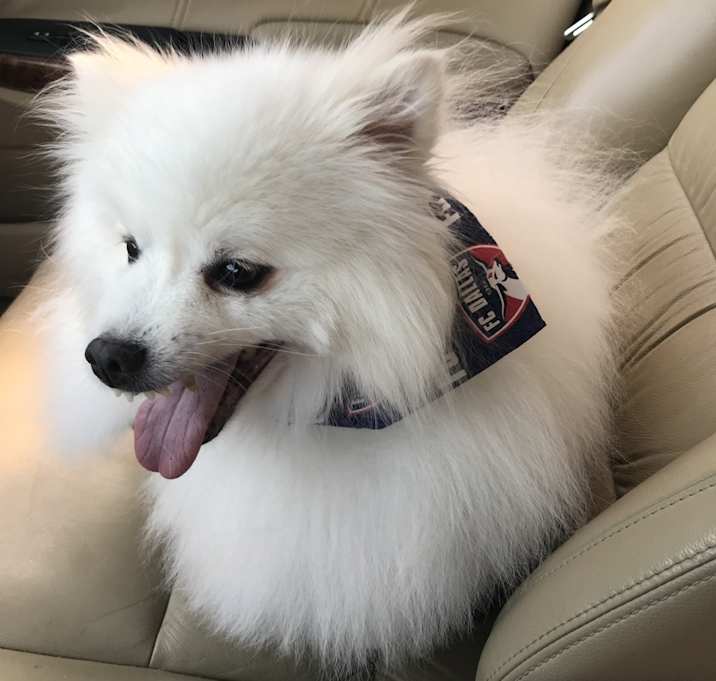 Photo of Gideon