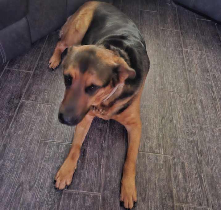 Photo of Ares