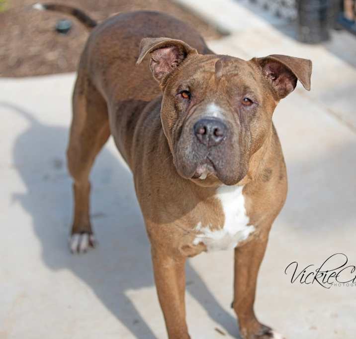 Photo of Athena