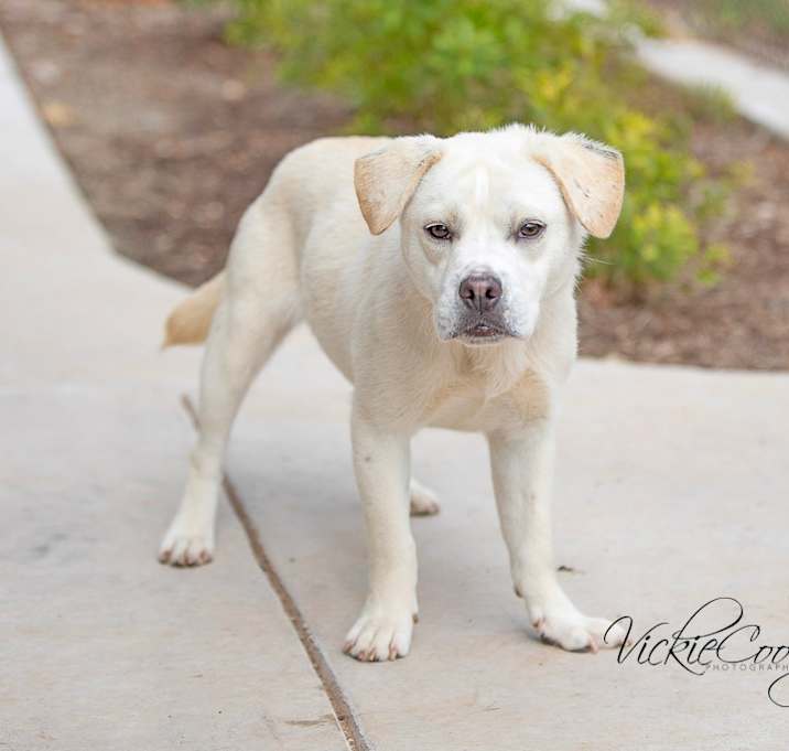 Photo of Sunny