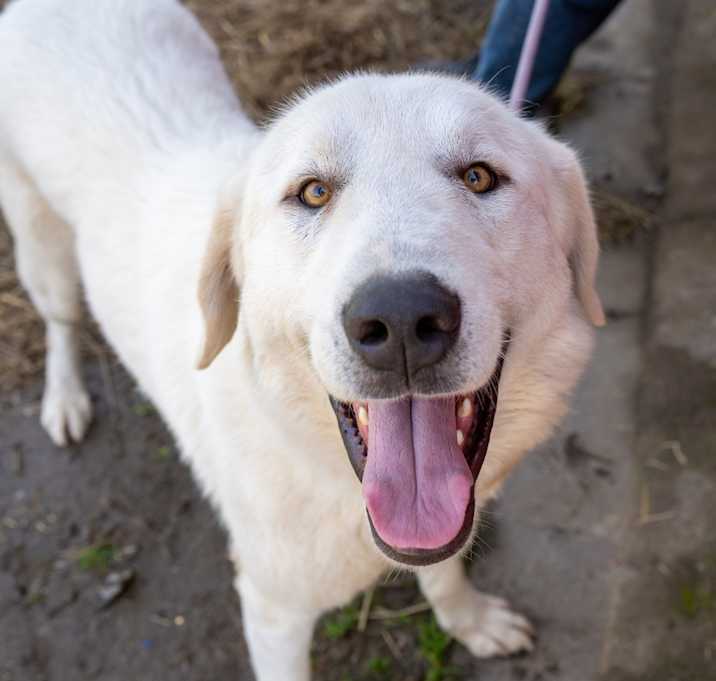Photo of MURPHY