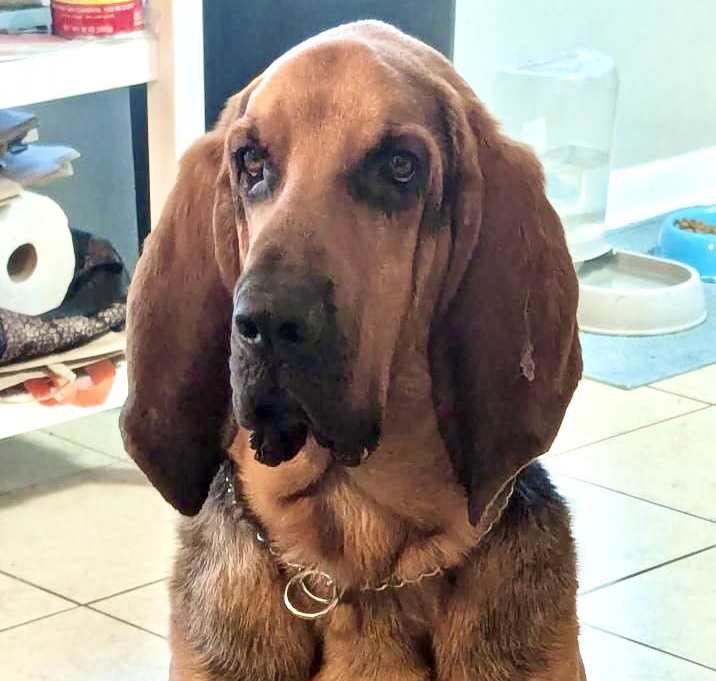 Photo of Bruce