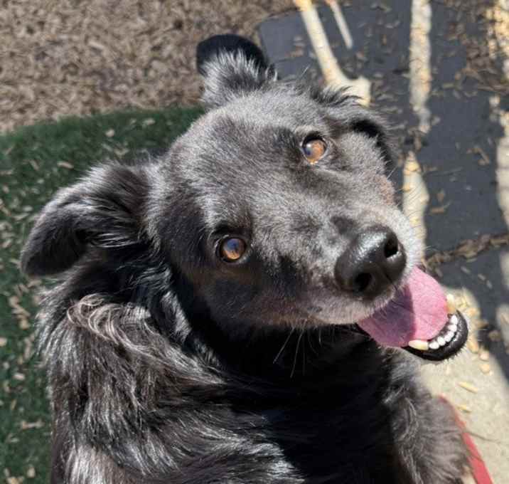 Photo of Zippy