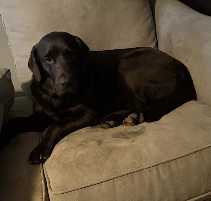 Photo of Jack