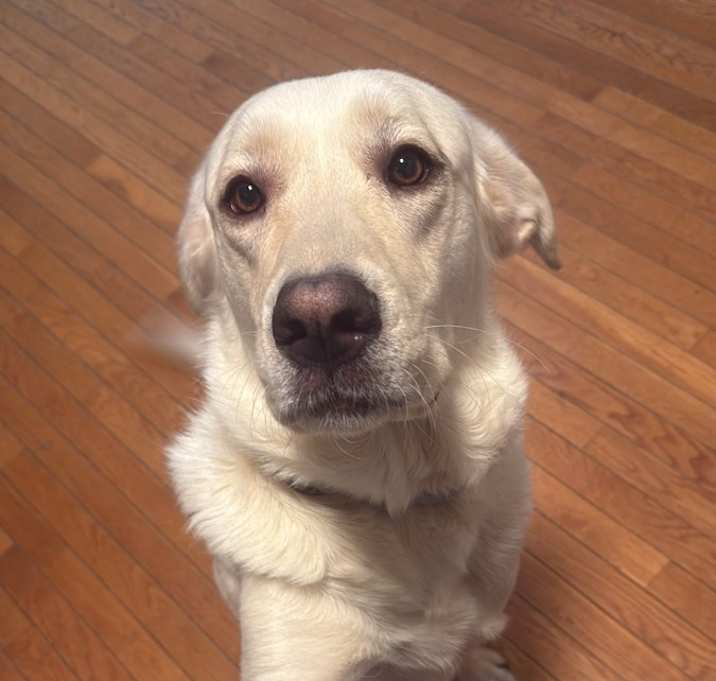 Photo of Ellie