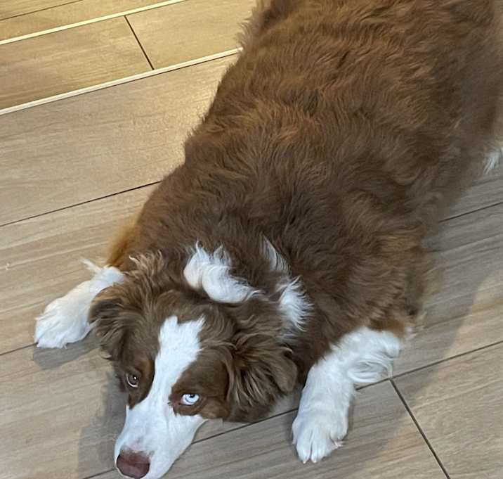 Photo of Kirby